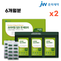 중외제약 식약처인증 은행잎추출물 징코 앤 메모리 90캡슐 식약처인증 두뇌 뇌 기억력 감퇴 혈액순환 혈행 개선 중년 여성 남성 부모님 노인 영양제, 2개