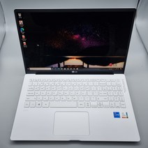 LG전자 그램 15Z95N 코어i7 11세대 램16 중고노트북, 15Z95N-GP7QL, WIN10 Home, 16GB, 256GB, 화이트