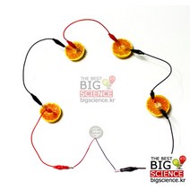 과일전지만들기(멜로디버저)(1인용)