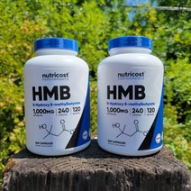 [당일출고] (2개 배송) 뉴트리코스트 HMB 1000mg 240캡슐 윤성빈 영양제 / Nutricost HMB 1000mg 240Capsule, 1개, 240정