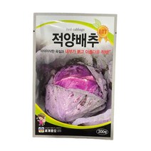 국산 적양배추 씨앗 200립 [22년포장] 적채 종자