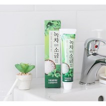 쿨링성분 민트향 구취제거 치약 구강청결 성인치약, 1개