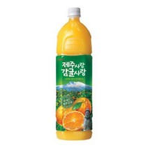 롯데칠성음료 제주사랑 감귤사랑, 1.5L, 6개