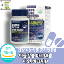 건강기능식품 인칼슘앱솔브 어골칼슘 앤 마그네슘 잇몸영양 뼈건강, 60정, 2개