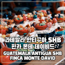 (커피생두) 41 과테말라 안티구아 SHB 핀카 몬테 데이비드 1kg