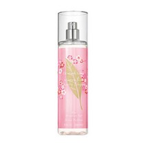 아트박스/엘리자베스아덴 아덴 바디 미스트 그린티체리블러썸 236ml, 본품