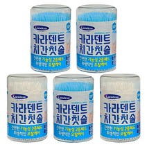 카라덴트 치간칫솔 300P, 5개
