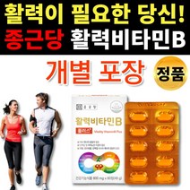 무료 사은품 약통 증정 비타민B 비타민B군 비타민비군 비오틴 판토텐산 나이아신 엽산 활력 영양제, 1통