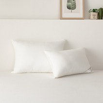 SESA 다운필 소프트2 베개솜 50X70, 없음
