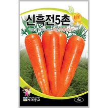 신흑전5촌 4g / 당근 씨앗 종자 텃밭키우기 채소키우기
