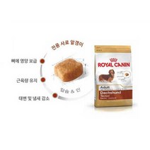 로얄케닌 독닥스훈트어덜트1.5kgX1포장, 단품