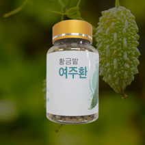 국내산 100% 여주환 100g, 4병