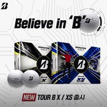 브리지스톤 2022 TOUR B XS TOUR B X 타이거우즈 골프공/선물포장/석교상사, TOUR B XS 타이거우즈