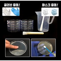 세균배양배지 만들기 세트 황색포도상구균 + 글로브 랜덤발송, 1세트