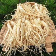 1+1 세척인삼 수삼 4~5년근 난발삼 중 10~15뿌리내외
