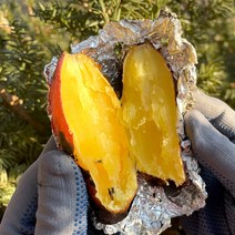 고당도 무농약 세척 해들녘 꿀밤고구마 (중) - 3kg / 5kg