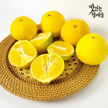 맛있는형제들 제주 황금향 카라향 하우스 감귤 밀감 노지 가정용 선물용 선물세트 2kg 3kg 5kg, 가정용 3kg 소과(13-15과)