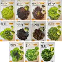 팜한농 유럽상추씨앗 / 그린글레이스 멀티그린 레드 씸블 큐오레 찰스 피델 솔마 바티머