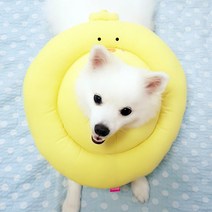 말썽쟁이여름 강아지 고양이 애견 긁음방지 깔대기 넥쿠션 목보호대 중성화 깔때기 목 쿠션 천 넥카라, 블루, XL