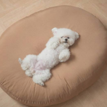 뚱땡이 무중력 우주 방석 먼지 안붙는 강아지 고양이 애견 반려견 방수 쿠션, 그레이 (100개 한정수량)