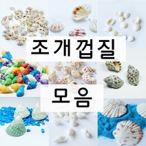 조개껍질 소라껍질 모음 젤캔들 만들기 재료, G-화이트 소라, 1개