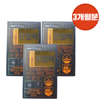 뉴온 보스웰리아 관절 연골 건강 관절력 800mg X 30정 X 3개 (90일분), 관절력3개, 90정