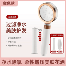 휴대용 녹물제거 여행용샤워기필터 세면대 석회수 베트남 태국 유럽 수압상승 정수 해외여행 전용, 필터 부스터 워터 샤워