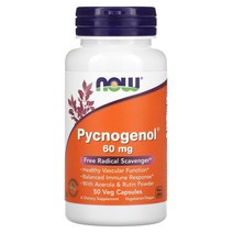 NOW Foods 나우푸드 피크노제놀 프랑스해안송껍질추출물 60mg 50 베지캡슐