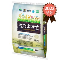 농협 2022년 햅쌀 김화농협 철원오대쌀 20kg, 1