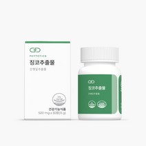 피토틱스 GBE 기억력 영양제 징코추출물 플라보놀 은행잎추출 기억력 혈행 개선