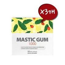 이노 헬스앤케어 매스틱검 1000 120베지캡슐, 120정, 3개