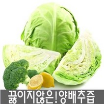 진성식품 물없이100% 순수 양배추즙100ml 50팩/100팩 행사/ 저온착즙, 진성식품 물없이100% 순수 양배추즙100팩