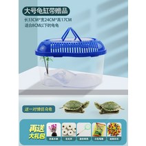알리 거북이 탱크 하우스 일광욕 테라스 조경 번식 상자 가정용 거북 브라질 사육 대규모 특수 생태, 선물을 보낼 수 있는 덮개   두 마리의 거북이가 있는