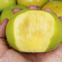 경남 창녕 태추단감 4.5kg 로얄, 단품없음