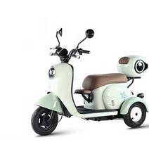 세발전기자전거 전동오토바이 어른신 노인 삼륜 안전, 상세 페이지 참고, (48V) 600W 모터 + 20A 납산전지