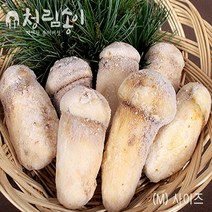 (청림송이 능이) 햇 자연산 냉동송이버섯 (특품), 1개, 냉동송이/AS/1kg