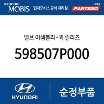 밸브 어셈블리-퀵 릴리즈 (598507P000) 뉴 슈퍼 에어로 시티 슈퍼 에어로 시티 특장 카운티