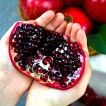 캘리포니아 미국 생석류 특대과 8입 5kg