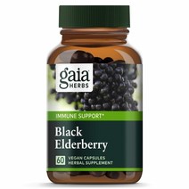 가이아허브 블랙 엘더베리 삼부커스 60정 Gaia Herbs Black Elderberry Sambucus, 1개