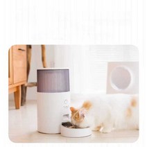 자동 반려동물 강아지 고양이 밥 사료 급식 배식기 셀프, 아이보리+워터 디스펜서