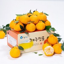 자연맛남 제주 고당도 한라봉 2.5kg 16과내외벌크포장 188489