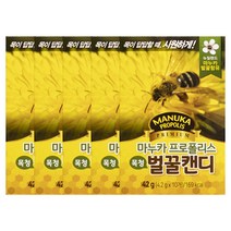 인터팜 마누카 프로폴리스캔디 10정 목캔디 시원한사탕, 4.2g, 5개