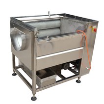 고추세척기 과일 야채 농산물 세척기 농사, 실버 DX-450