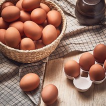 1등급무항생제달걀 인기 상위 20개 장단점 및 상품평