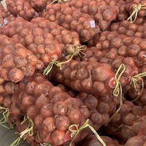 [패밀리농산물] 국내산 햇양파 최상품 3kg 5kg 10kg 20kg
