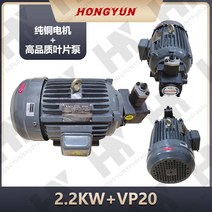 레이저각인 레이저마킹기 레이저커팅기 유압 오일 펌프 모터 유닛 vp20 + 0.75kw1.5 유압 펌프 어셈블리 내부 샤프트 모터 유압 스테이션 액세서리 시스템, 2.2kw(순동 모터) +vp20
