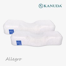 [가누다] 블루라벨 알레그로 2개세트 메모리폼 경추 베개, S.L