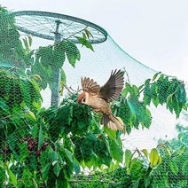 새 그물망 농작물 보호 방조망 4x5m DD11973 새 참새 새, 벤타샵상품선택