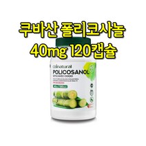쿠바산 폴리코사놀 사탕수수 쿠바폴리코사놀 40mg 코큐텐 함유 120캡슐, 1개, 기본