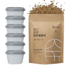 온다숲 반영구 천연 제습제 맑고맑은 정화석 작은알갱이, 제습제통 6개, 작은알갱이1kg